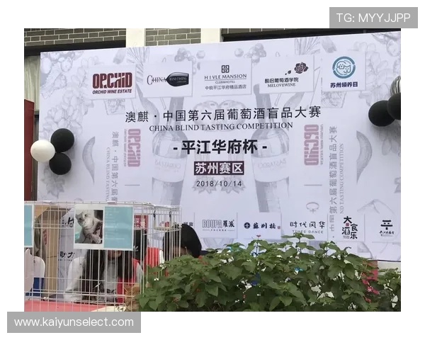 苏州超级联赛比赛时间表全览及赛程安排与精彩对决指南深度解析版 苏州超级联赛比赛时间表全览及赛程安排与精彩对决指南深度解析版